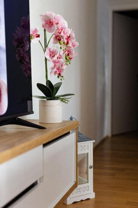 Apartman Lux Self Check-In Virovitica Exteriör bild